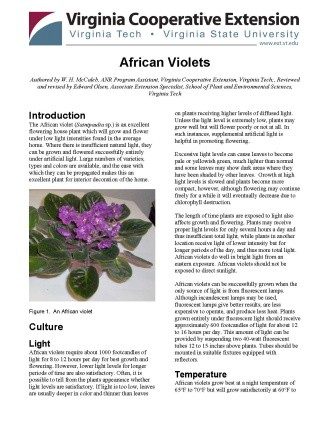 Cover page of the publication.