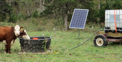 A solar panel attached to a pump between a stock tank serving two cows and a large water reservoir on a wagon. A hose runs from the reservoir to the tank.
